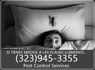 FUMIGACIONES 🦇 🎃 HALLOWEEN  🦇 🎃 24/7.~