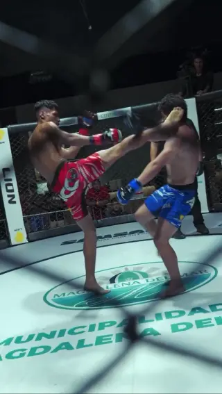 Clases de MMA, Muay Thai y No Gi