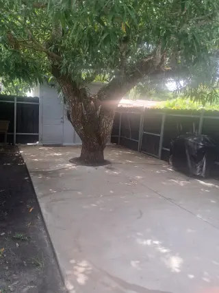 EFFICENSE  ( MIAMI GARDENS
