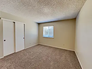 Available for viewing today