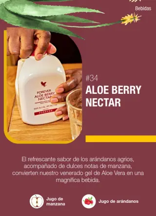Beber Forever Aloe Vera GEL