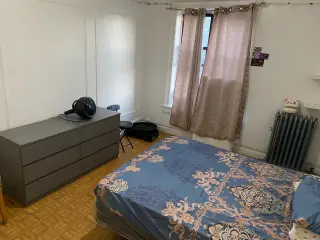 Rooms for rent and apt