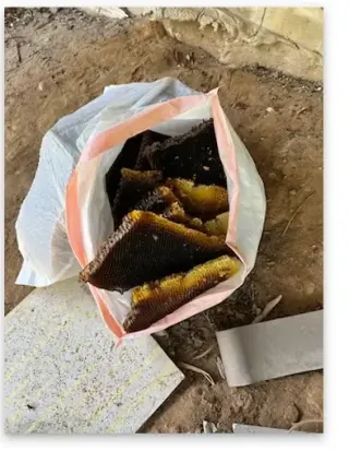Henrys Bees Removal Service