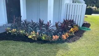 Servicio de jardineria y limpieza