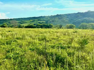 Great & Affordable, Lot B