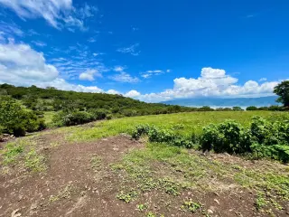 Great & Affordable, Lot A