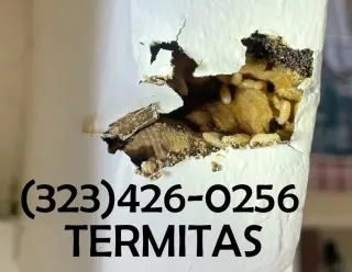FUMIGACIONES TERMITAS EAST LOS ANGELES