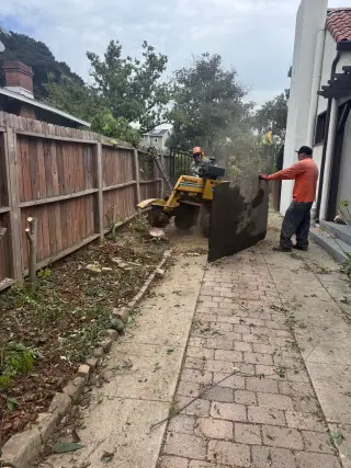Heartwood Tree Service Corp