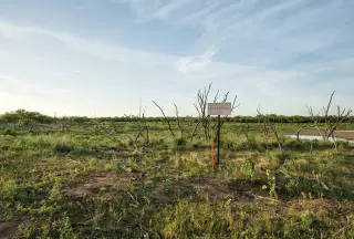 11 acres Clay County | $5,500 de enganche | $1,188/mes | 10 min de Wichita Falls