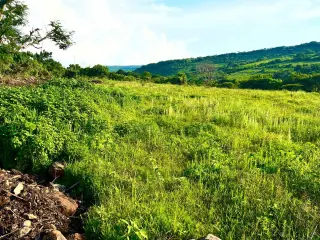 Great & Affordable, Lot A