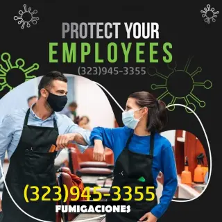 FUMIGACIONES 🎃 🦇 HALLOWEEN 🦇 🎃 24/7.~ LOS ANGELES.~