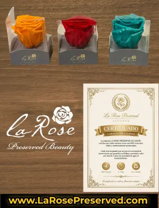WholeSale Eternal Roses Supplier Exporters Ecuador Premium Preserved Roses