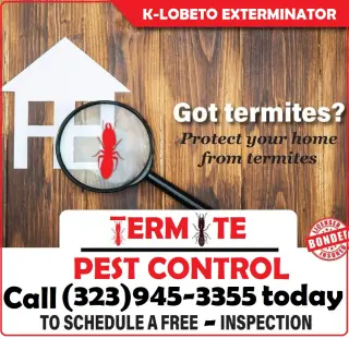 TERMITE TENT FUMIGATION OR LOCAL TREATMENT LOS ANGELES