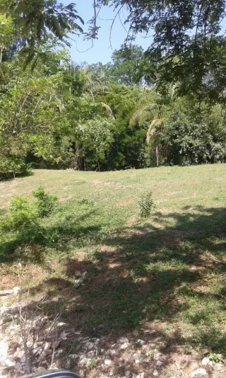 Propiedad en Venta en Matapalo de Quepos