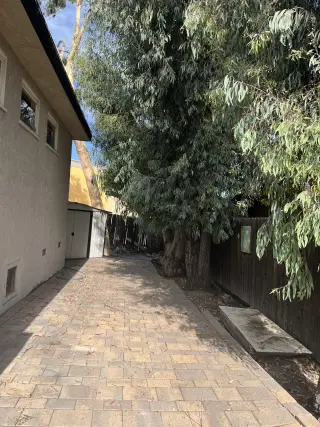 Back house for rent