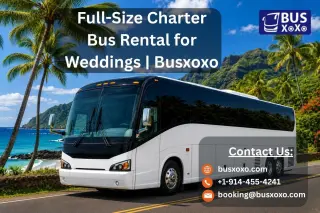 Full-Size Charter Bus Rental for Weddings | Busxoxo