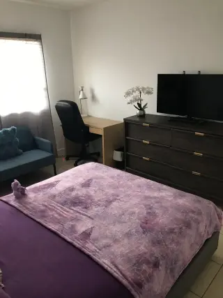 Renta de Habitación