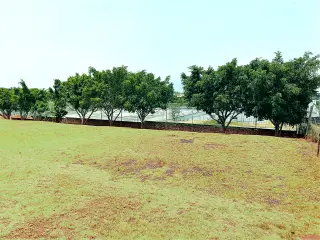 Rancho Alegre 2