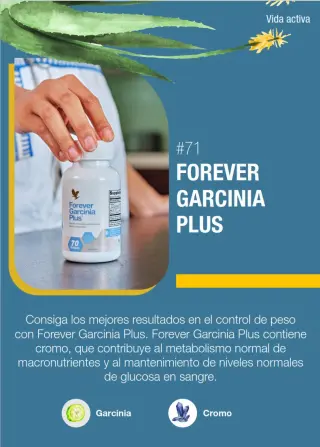 programma DETOX Clean9 Forever