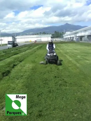 Sistemas de Riego Automático para Jardines