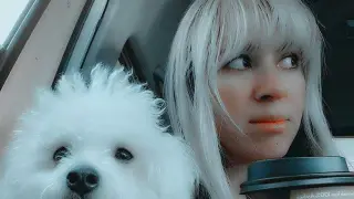 🐾 Cuidado de perros con experiencia y mucho cariño 🐾