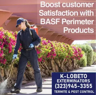 FUMIGACIONES 🎃 🦇 HALLOWEEN 🦇 🎃 24/7.~ LOS ANGELES.~
