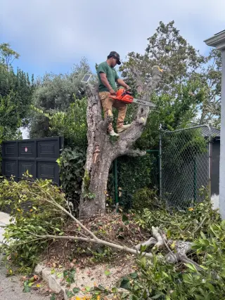 ¡Construimos con calidad y confianza!