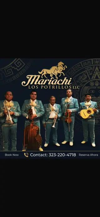 🎺🎺MARIACHI LOS POTRILLOS 🎻🎻