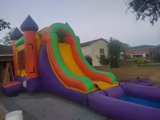 Mary party renta