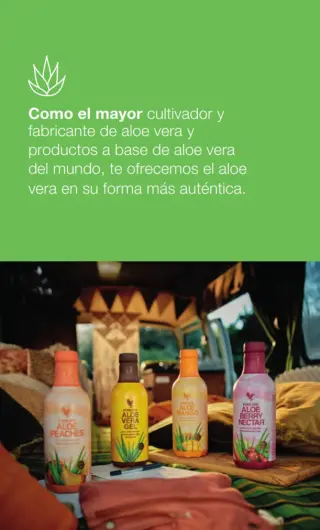Forever Aloe Berry Nectar FLP
