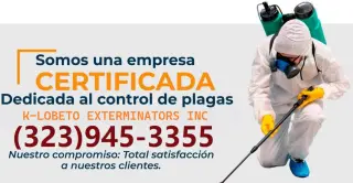 FUMIGACIONES TERMITAS - HUNTINGTON PARK