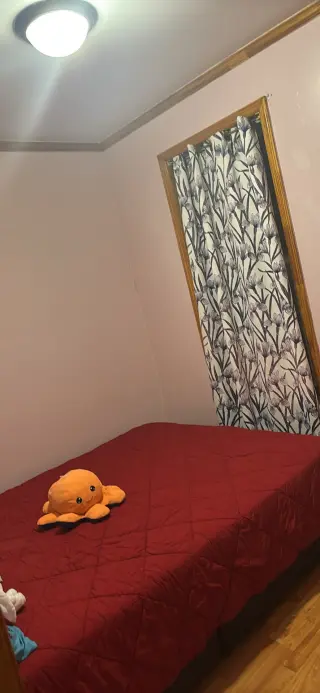 Rento habitación $800