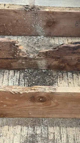 Servicios de Reparación de Daños en Madera