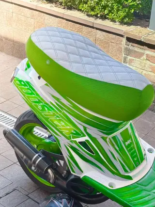 Custom Green Scooter for Sale