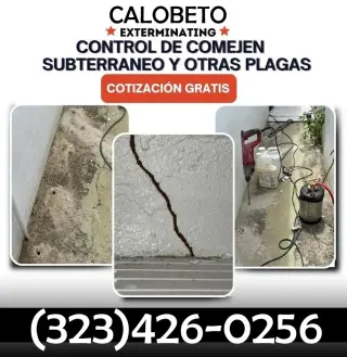TERMITAS EXTERMINADOR 24/7.-