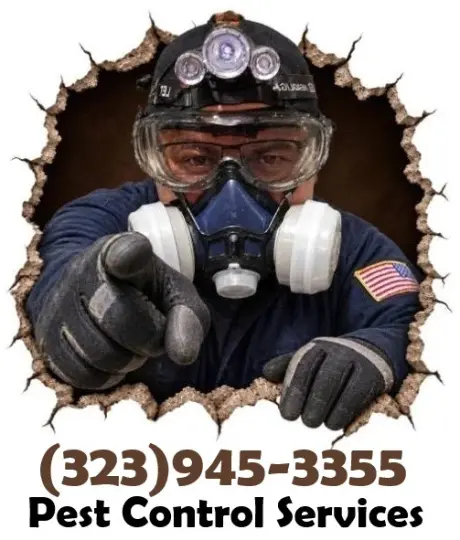 EXTERMINADORES LOS ANGELES Y AREAS CERCANAS.-