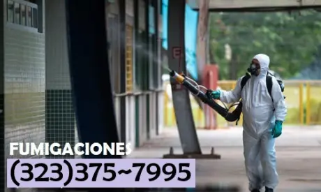 FUMIGACIONES ~ PLAGAS LOS ANGELES