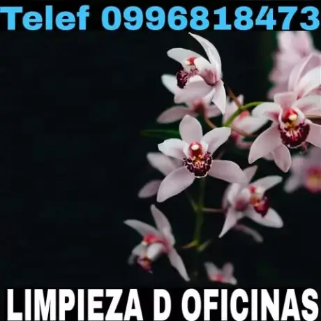 Limpieza Profunda Llano Chico