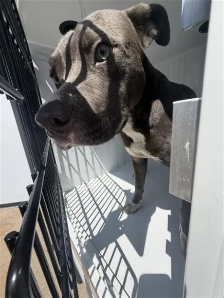 A661839