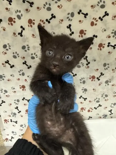 SALEM