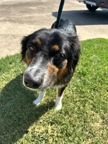 BARKLEY