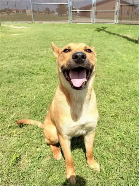 RANGER