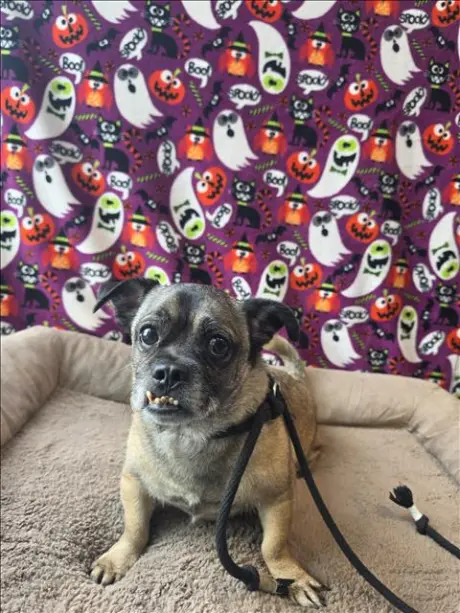 BAXTER