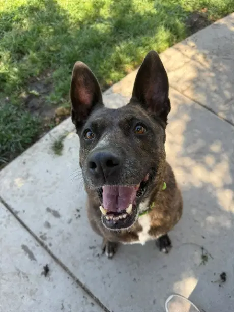 Luna