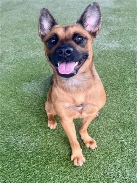 ROXY