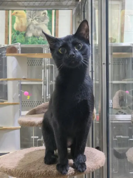 SABRINA