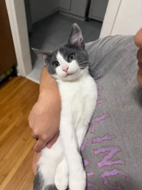 Willy - No Longer Accepting Applications