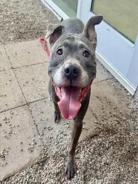 LULU