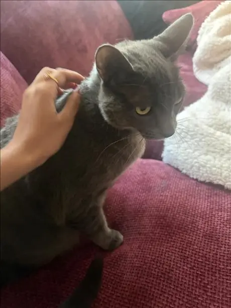 GRADY