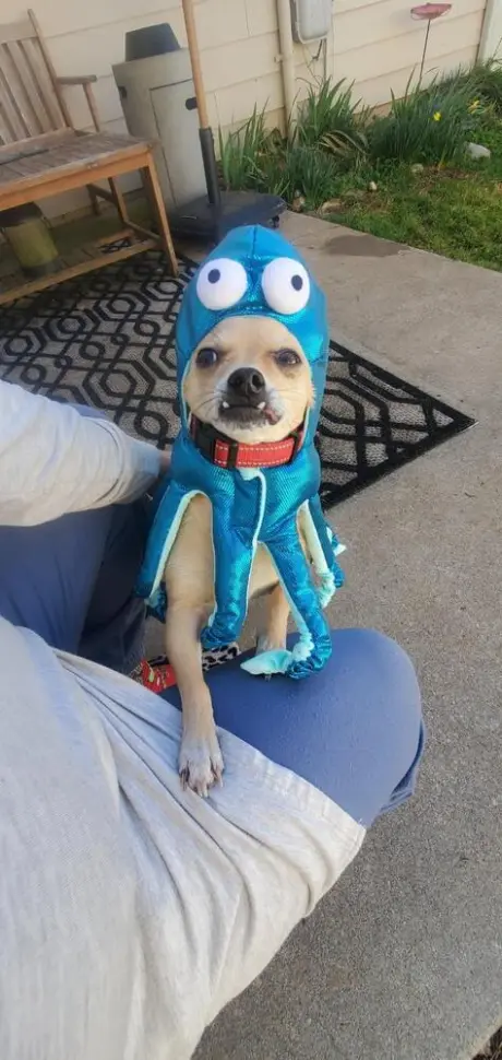 Rico